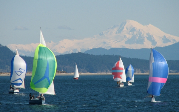 Sailboats - Mel Falk